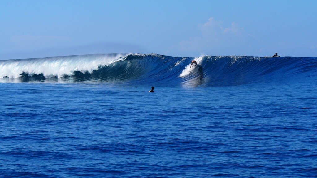 Fiji Surf